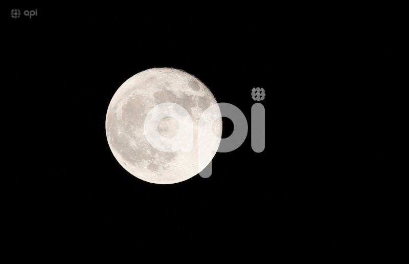 GYE-SUPER LUNA FRESA