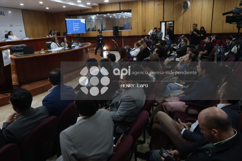 CONSEJO CONSULTIVO DE ORGANIZACIÓNES POLITICAS