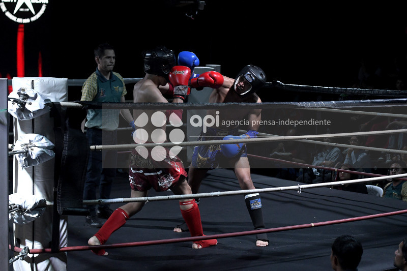 UIO TORNEO MUAY THAI FIGHTCUP XVI