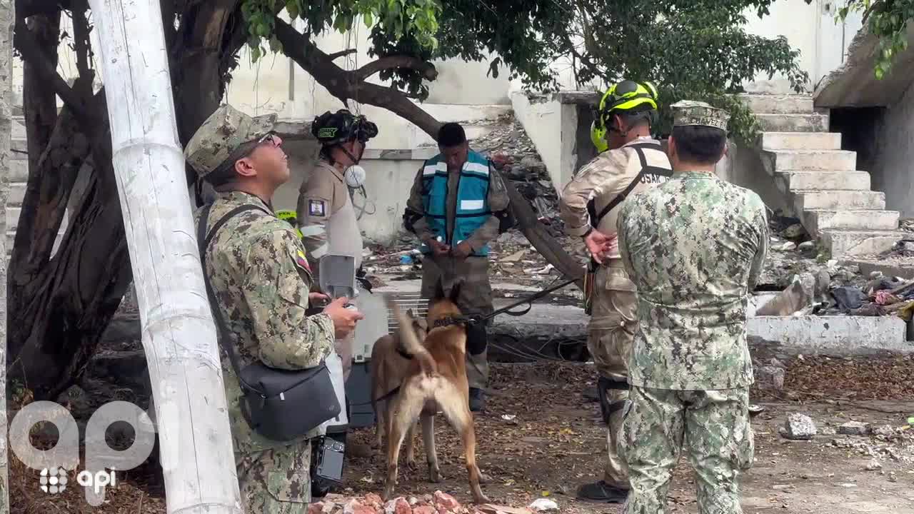 MANTA-SOLIDAREX-EJERCICIOS