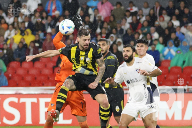 La U se activa en Venezuela