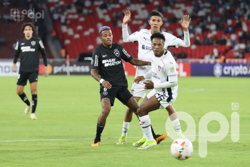 Botafogo frena 2-1 a Liga de Quito