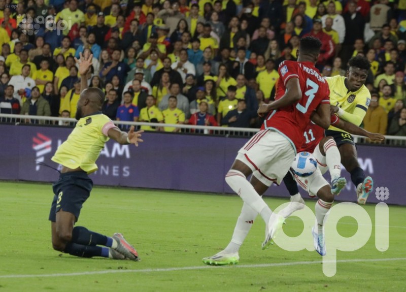 La Tricolor se estanca en el premundial