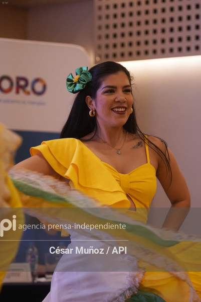 MCH-PLAN TURISMO EL ORO OK